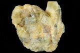 Yellow/Green Cubic Fluorite Crystal Cluster - Morocco #82798-1